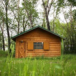 cabin forest lodging