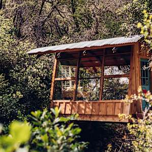 cabin forest lodging