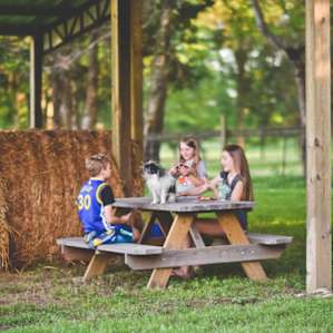 Bob the farm dog playing some Uno with the kids ;-)