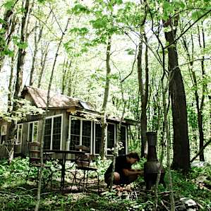 cabin forest people