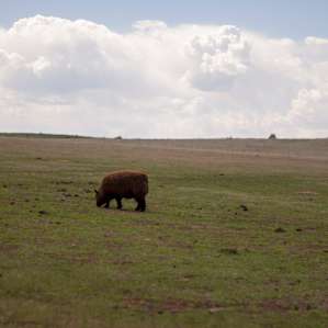 the pasture we camped in
