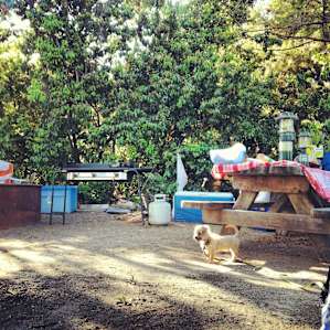 Our private little tent site. Perfect for a two-tent setup.