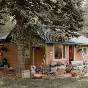 cabin forest lodging
