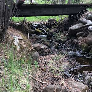 Cute flowing creeks throughout
