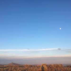 Yakima Boonies