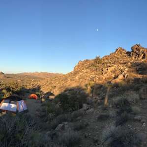 Starry JT Nights Site #2