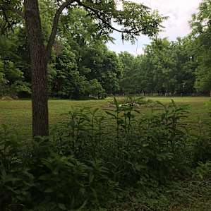 MoonLight Grove Farm