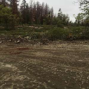 Dün Cærrę'g at Shaver Lake