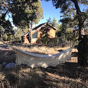 Peaceful Forest Camping