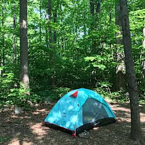 Bear's Den
