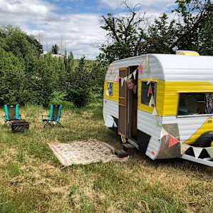 Farm Country Hazelnut Orchard