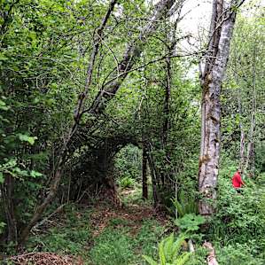 Exploring the trails