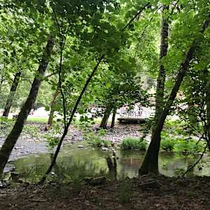 Creek view from the campsite