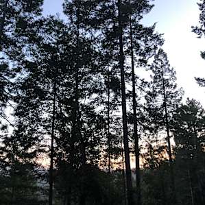 view from our campsite