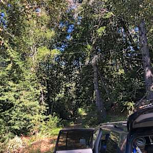 we were able to pull our car up to camp that was located down a very private road