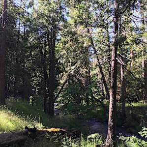 Trinity Outpost Wilderness Resort