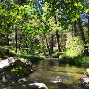 Trinity Outpost Wilderness Resort