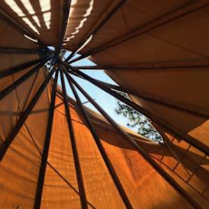 Wild Rose Tipi