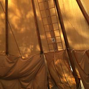 Wild Rose Tipi