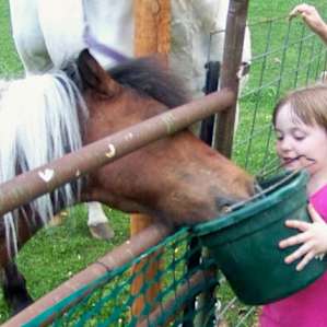 Out kids loved feeding oats to the resident horses.