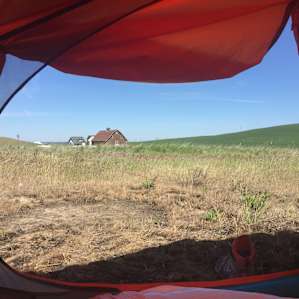 View from our tent- towards the back property line