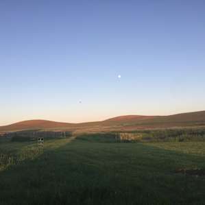 Palouse Stargazing TentCamp