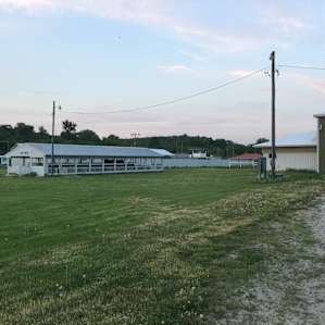 The grounds for playing or walking your pet.