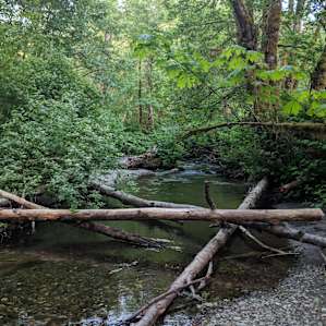 Our Little Piece of Paradise