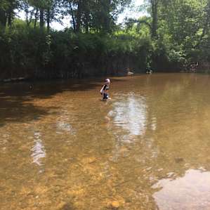 Playing in the Niangua. 3-4min away from site.