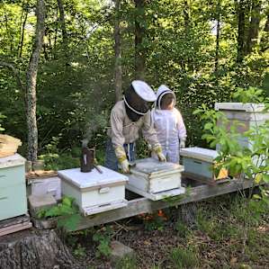 Learning about beekeeping!
