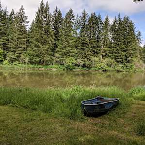 The view of the lake. Lots of birds and bullfrogs.