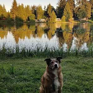 Seven Lakes Campground