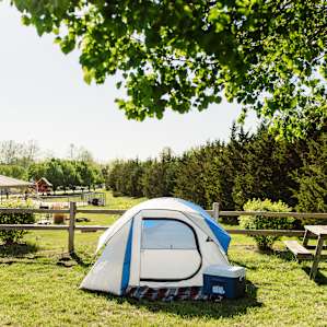 tent forest picnic table