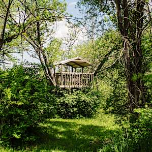 There is a deer blind that has been converted into a little tree house that is perfect for kids to play!
