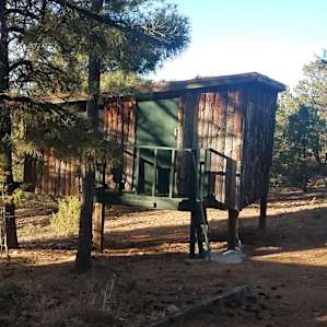 Treehouse Camp: Forest/Desert