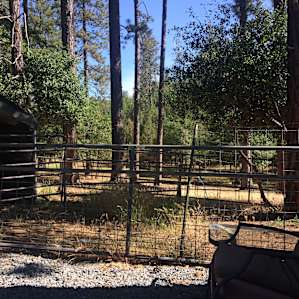 Llama Mamas