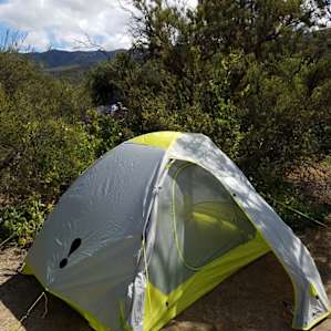 Site 5. The brush provides some privacy between sites. There are a lot of ants in this particular site though. I wouldn't recommend a large tent in this area.