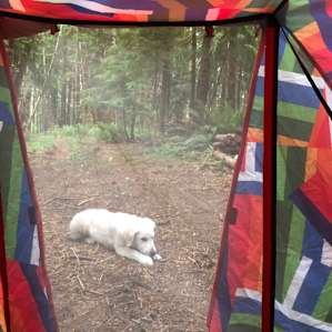 Hwy 101's Camp Coffee Retreat