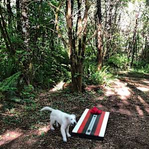 Cornhole was fun!