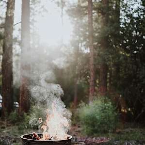 forest campfire amenity