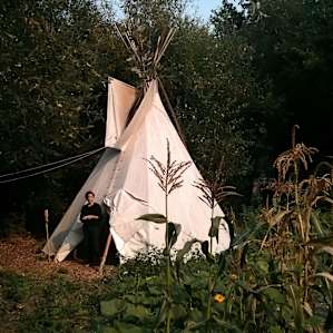teepee in the corn field