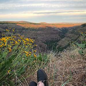 Wildflower heaven with a canyon view. This is the real, real right here.