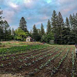 Beautifully maintained farm