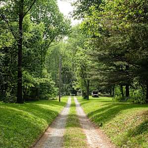 The driveway into the property.