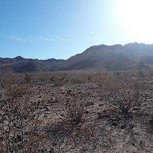 Yaqui Offgrid Camp and Cottages