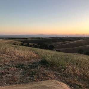 Blue Bonnet Ridge