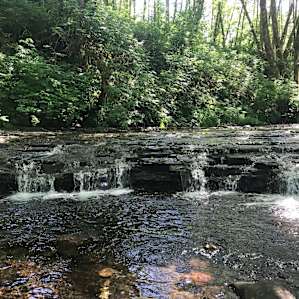 Powder Creek Campsites