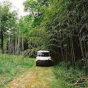 This is the path to and from the site.