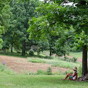 What a perfect spot beneath a perfect tree.