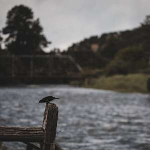 water